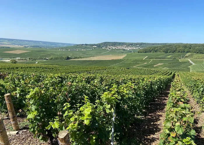 Les Bulles Ageennes * Ay-Champagne